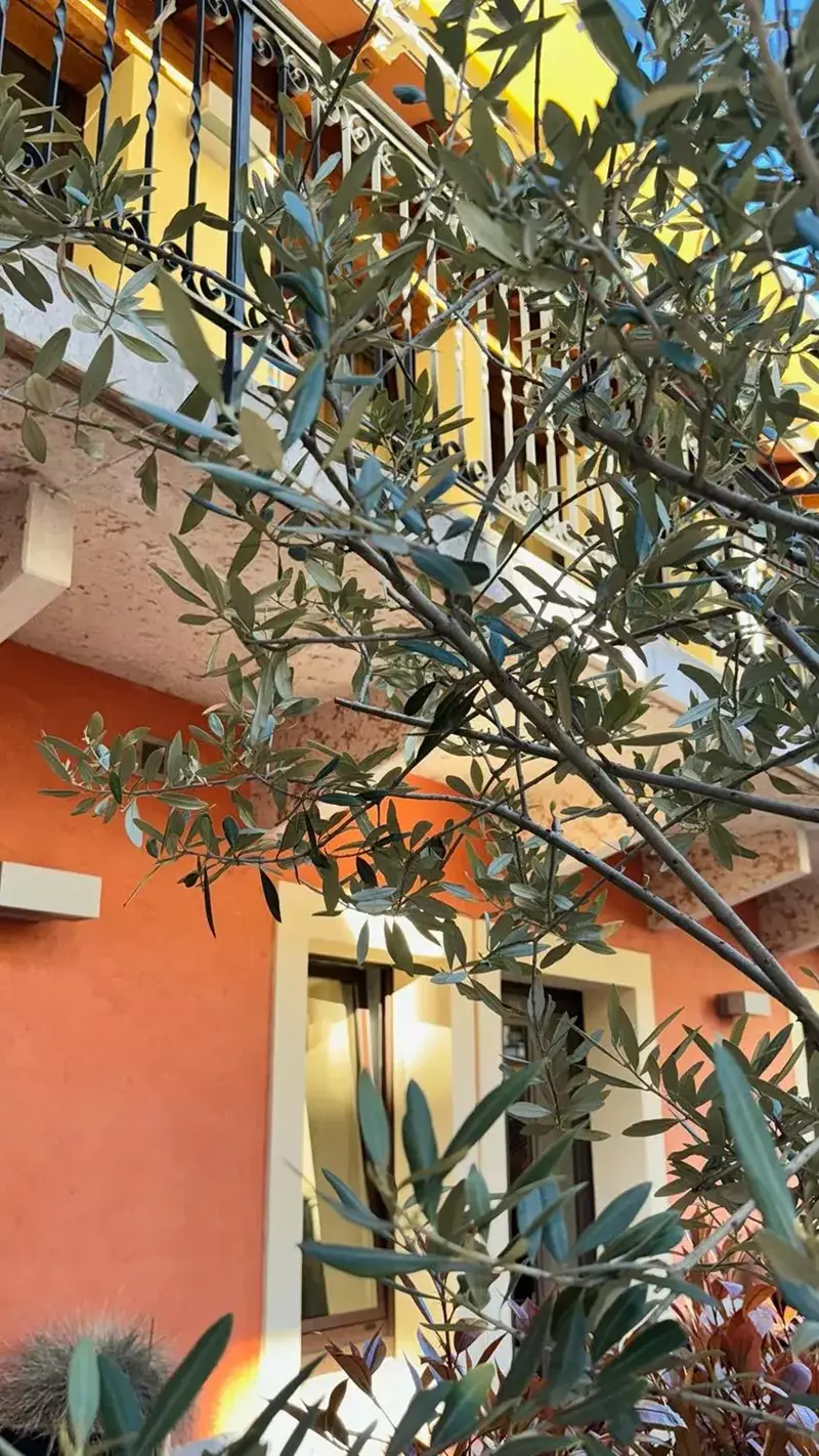 Dettaglio delle piante ornamentali nel dehors dell'Albergo Fontana a Verona, un angolo di natura curato per offrire agli ospiti un'atmosfera serena e rigenerante.